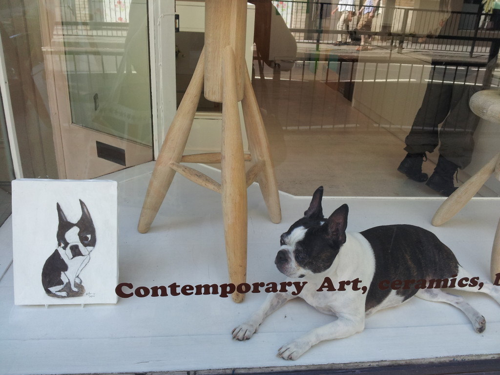 Boston Terrier in Eclectic Window